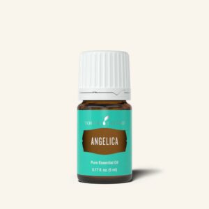 Young Living Angelica Olie